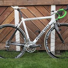 Nishiki Champion