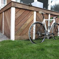 Nishiki Champion