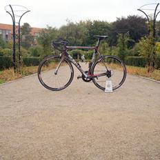 De Rosa Super King SR 888