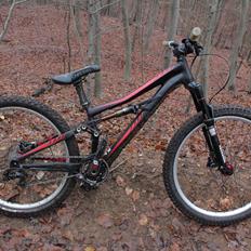 Specialized Enduro SX