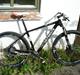 New Ultimate Big Warp Carbon