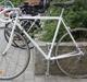 Motobecane 1981