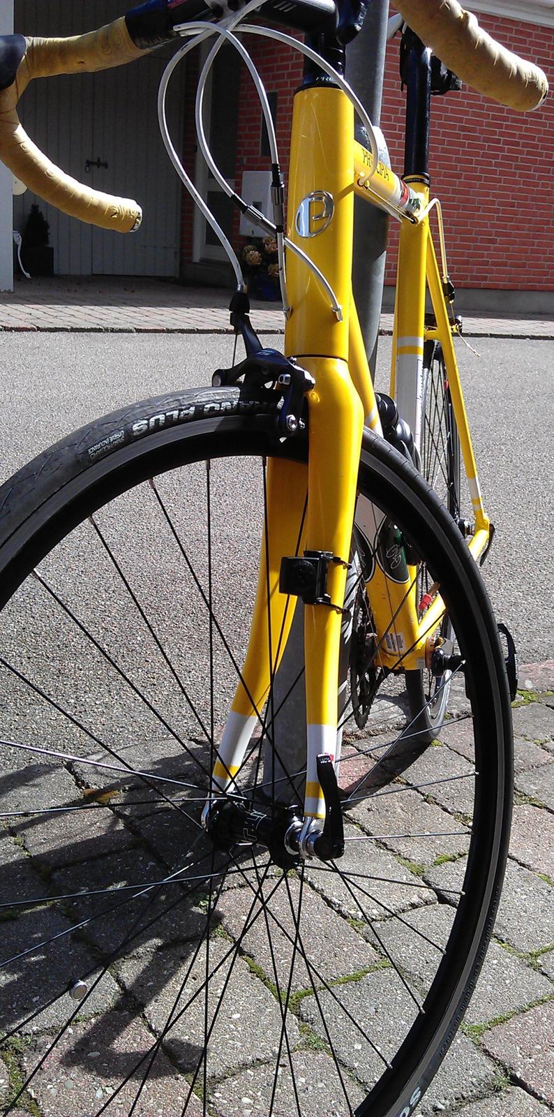 Principia Team Rynkeby - 2011 billede 8