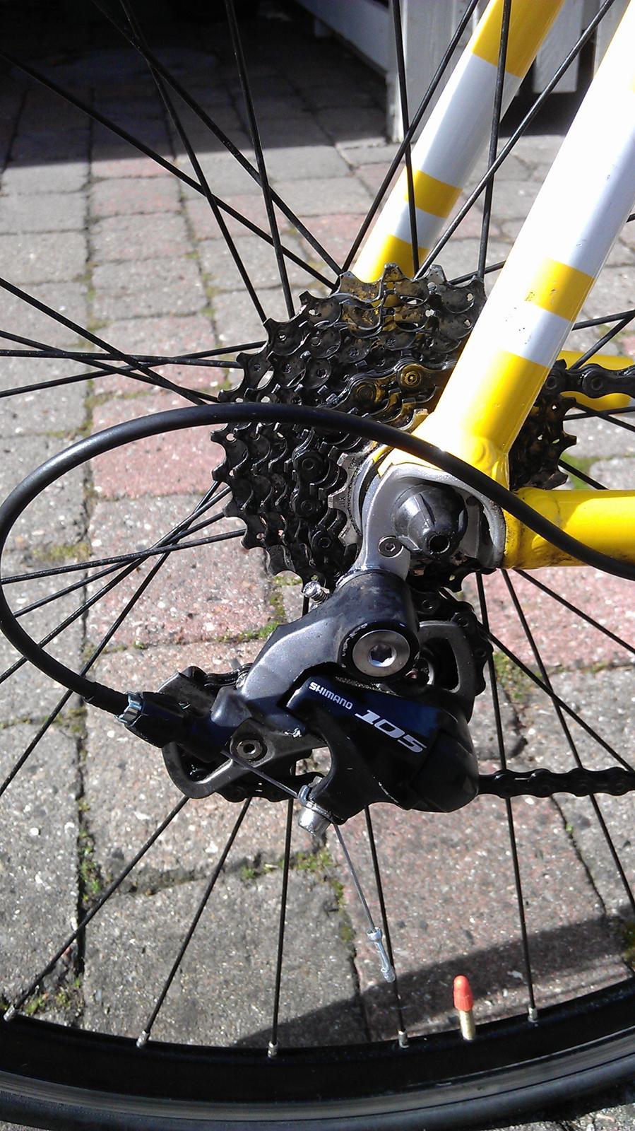 Principia Team Rynkeby - 2011 billede 9