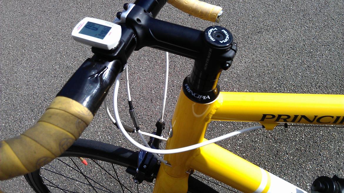 Principia Team Rynkeby - 2011 billede 12