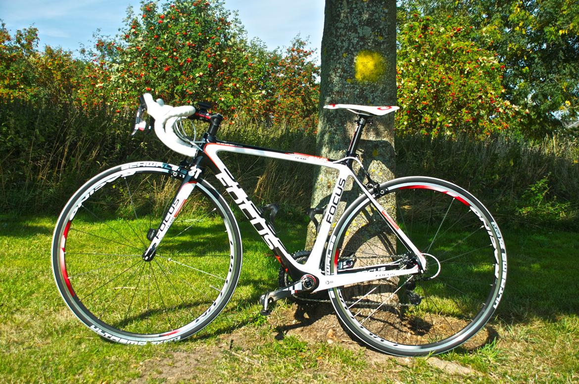 Focus Izalco Team billede 8