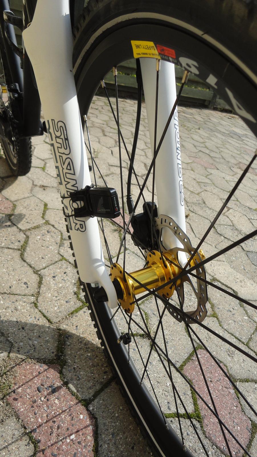 Carrara Blizzard billede 12