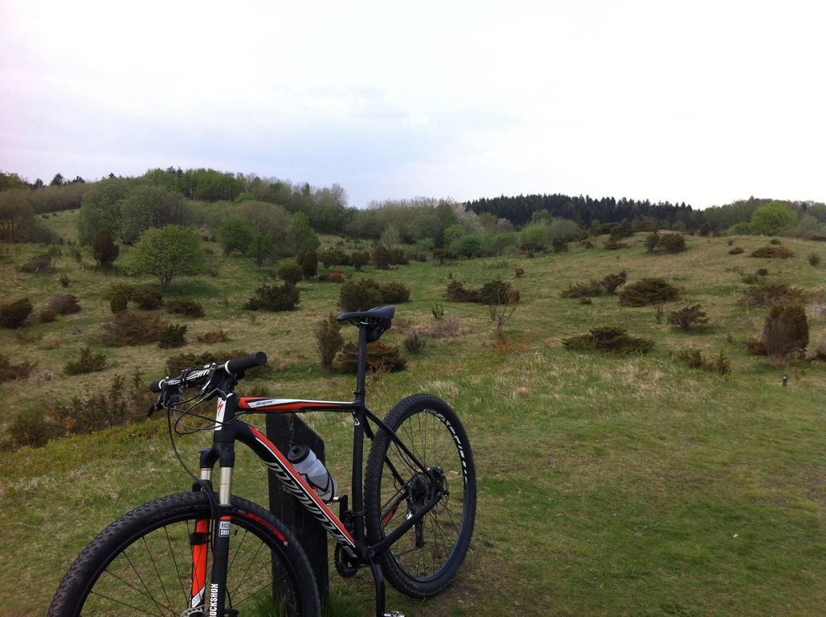 Specialized Stumpjumper billede 14