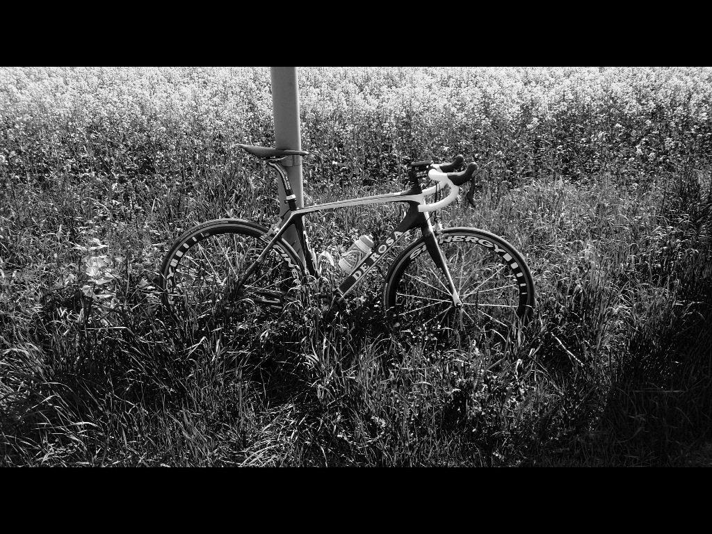 De Rosa R848 billede 13