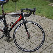Giant TCR Composit 2