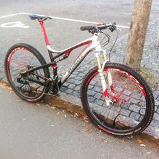 Specialized Epic FSR 29"