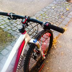 Specialized Epic FSR 29"