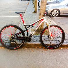 Specialized Epic FSR 29"