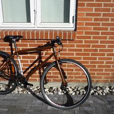 Cotic RoadRat