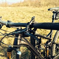 Canyon Nerve AL 29 9.9 SL 2014