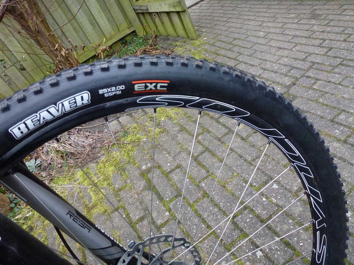 Pipedream Skookum billede 15