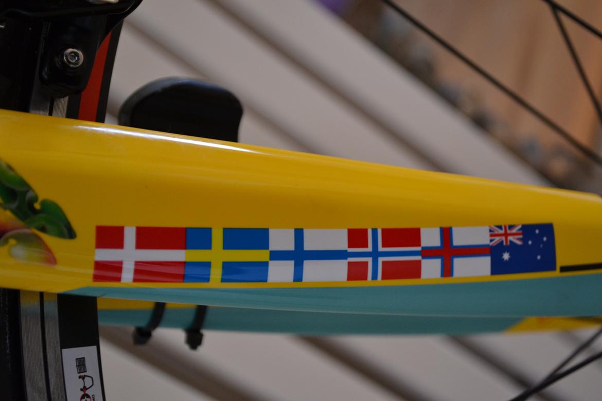 Bianchi Intenso Team Ryneby billede 6