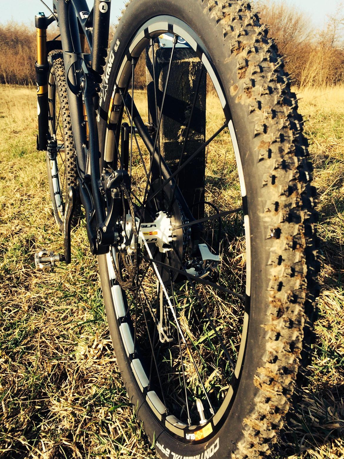 Canyon Nerve AL 29 9.9 SL 2014 billede 8