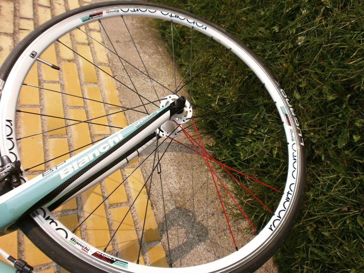 Bianchi Sempre billede 12