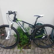 Boardman Pro 29er Hardtail