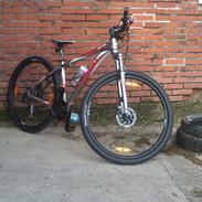 Giant Revel 29er