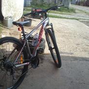 Giant Revel 29er