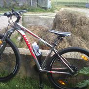 Giant Revel 29er