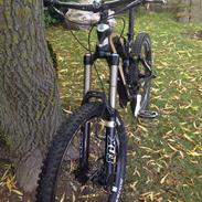 Trek Trek Scratch 8