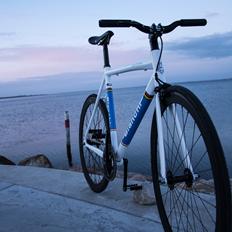 Bianchi Pista Dalmine