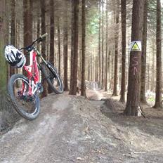 Specialized Demo 8 I 2014