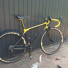 Giant SCR 4