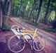 Everton MTB Racebike Troy Lee Designs