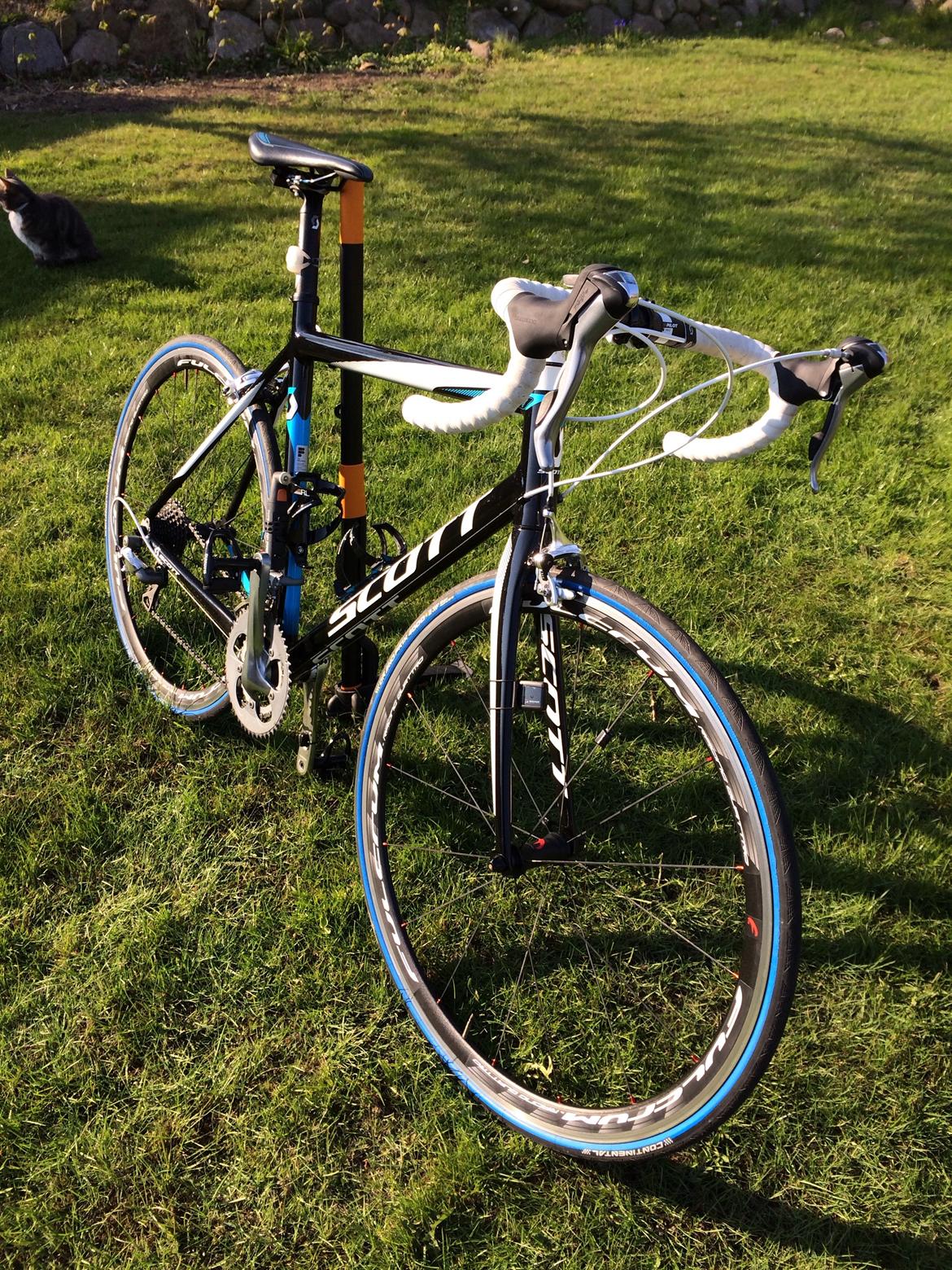 specialized turbo 2bliss