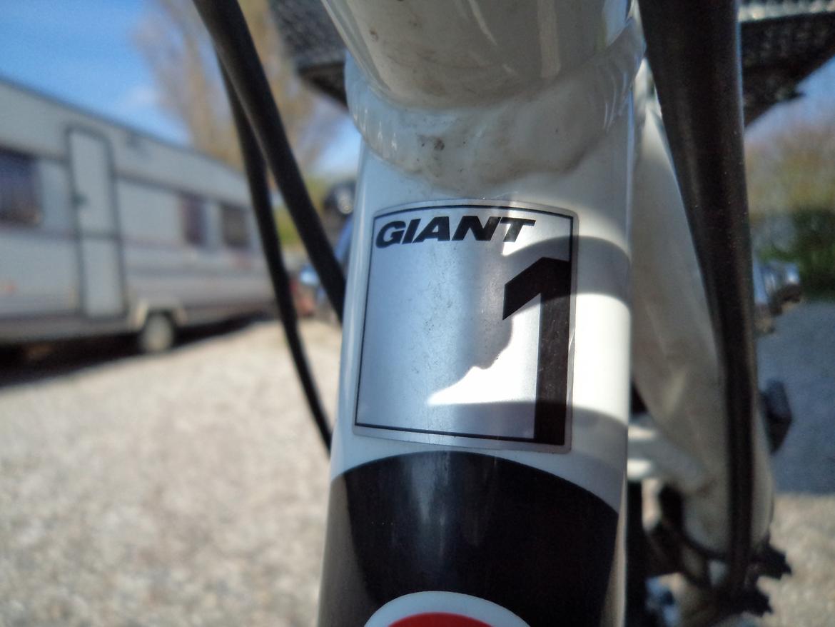 Giant Revel 1 Disc 2012 billede 15