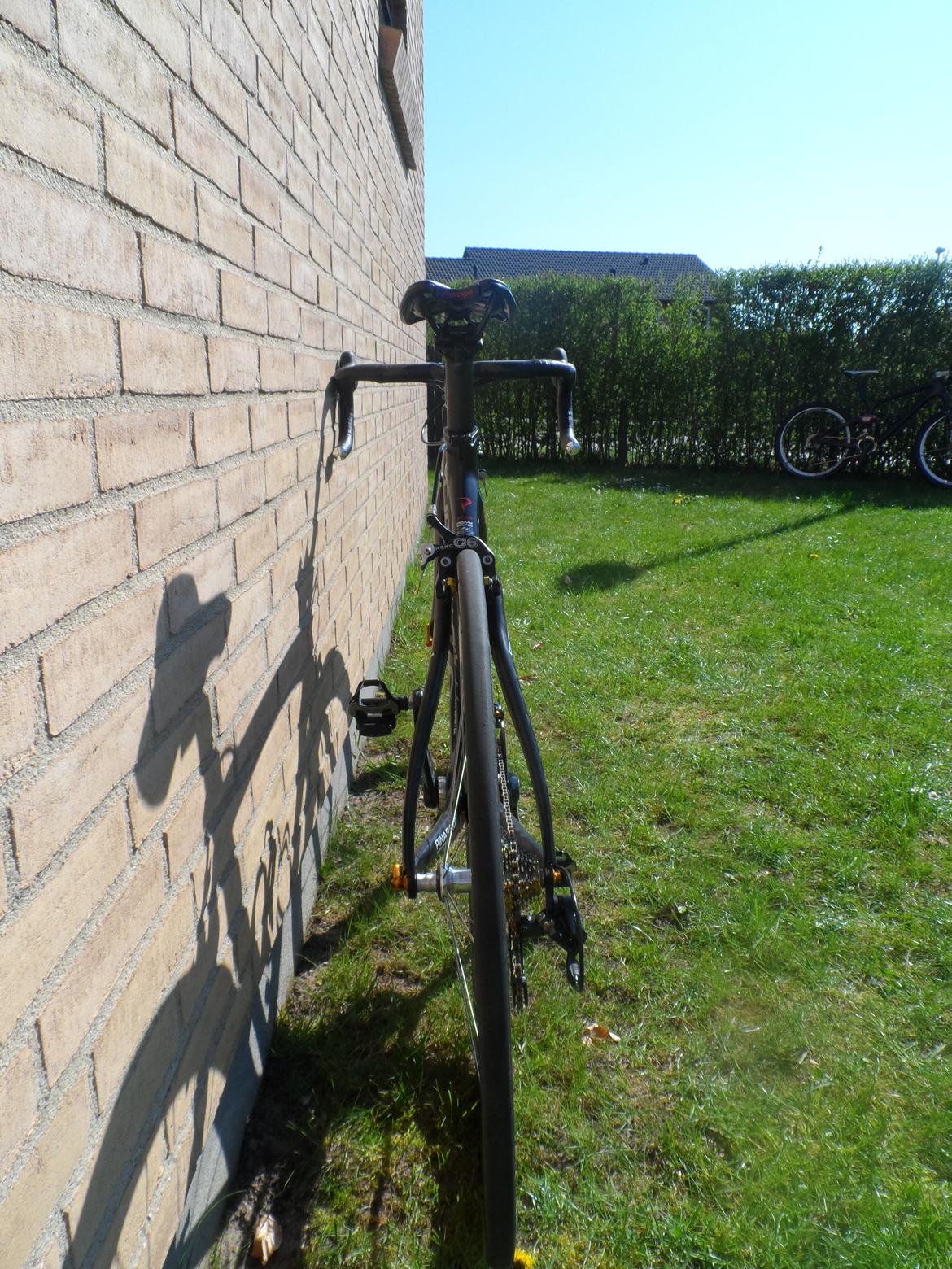 Pinarello fp quattro bob 2012 billede 24