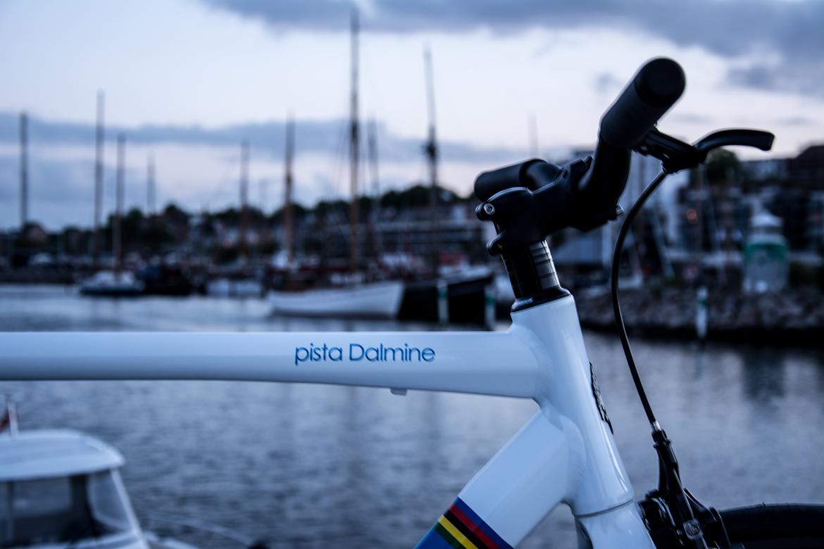 Bianchi Pista Dalmine billede 4