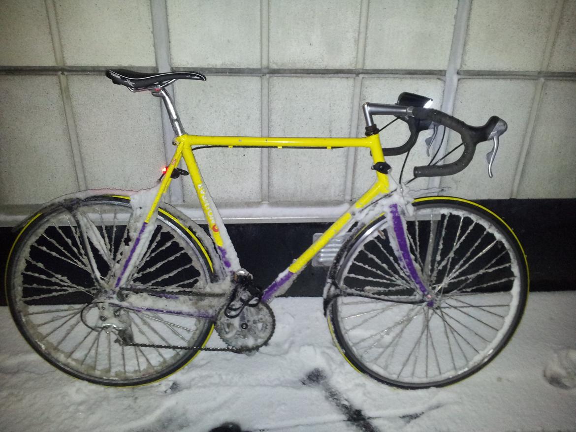 Everton MTB Racebike Troy Lee Designs - Det var en crazy tur. billede 12