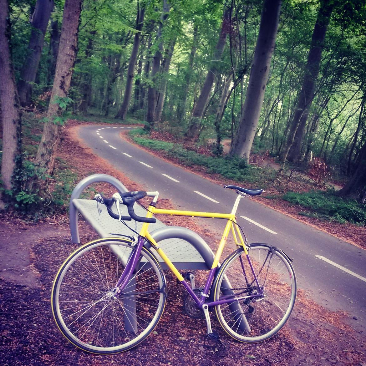 Everton MTB Racebike Troy Lee Designs - Her ses cyklen på vej hjem fra arbejde, det er ved en udendørs fitnesplads som jeg ofte bruger billede 1