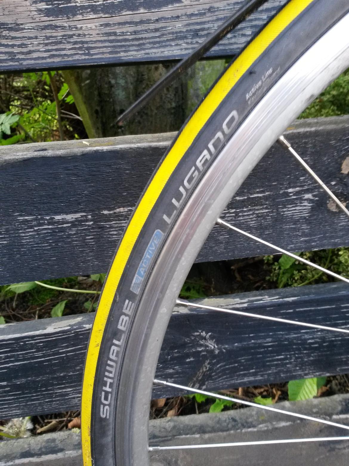 Everton MTB Racebike Troy Lee Designs billede 7