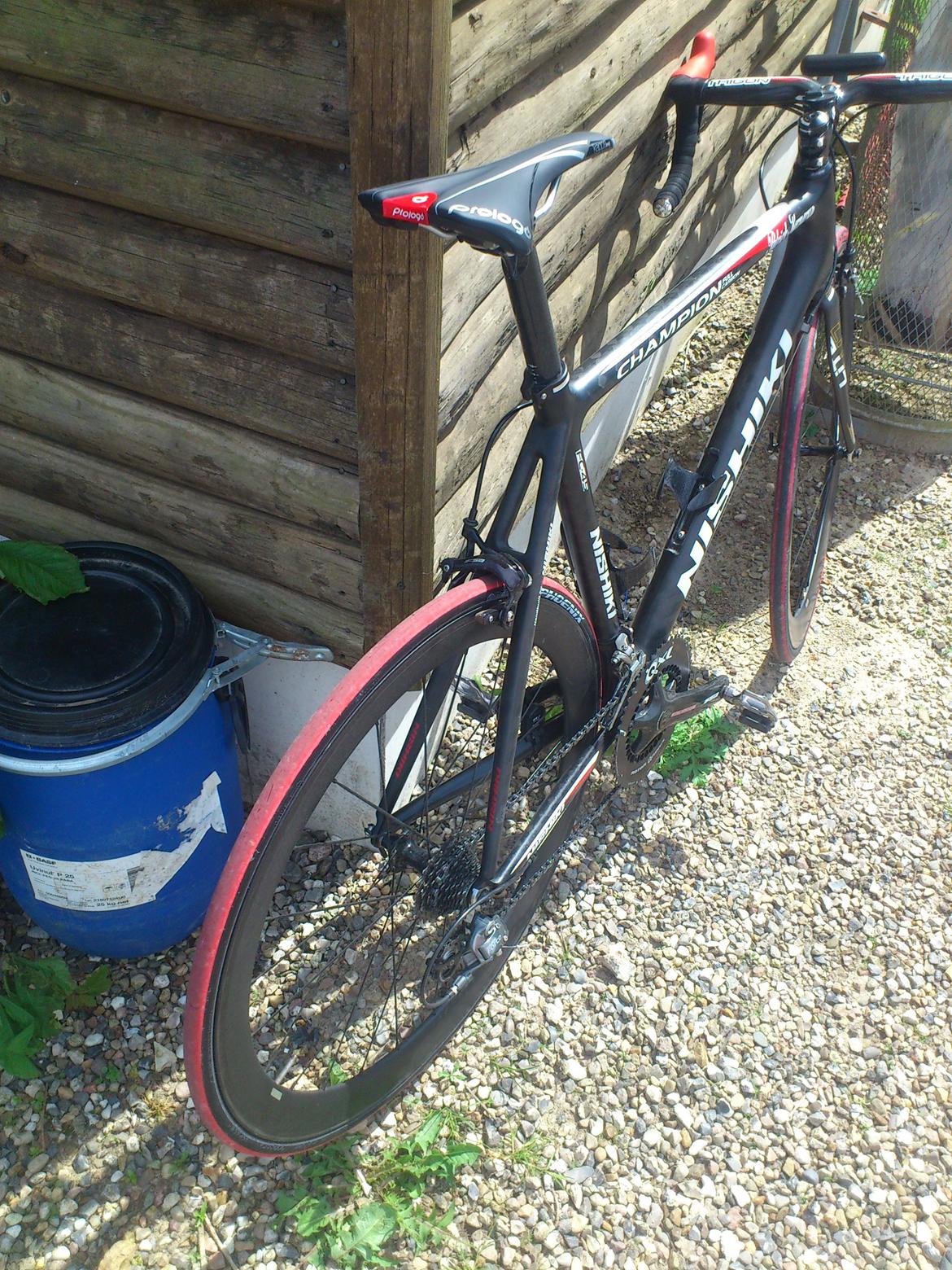 Nishiki champion billede 15