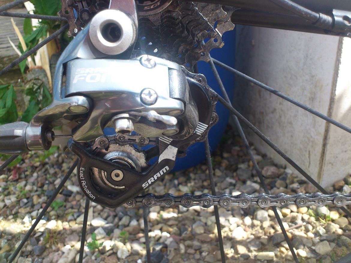 Nishiki champion billede 16
