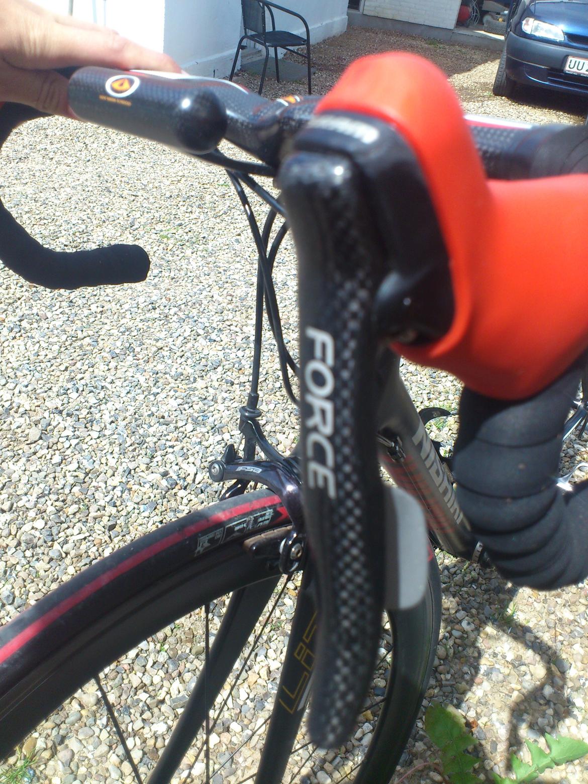Nishiki champion billede 18