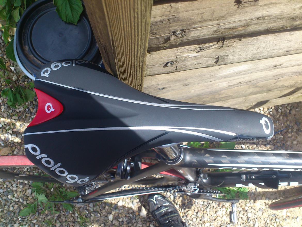 Nishiki champion billede 14