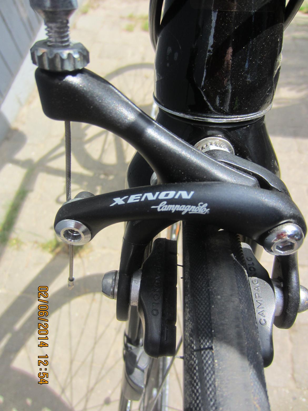 Fausto Coppi Pro Team Mythical " The1AnOnly " billede 5