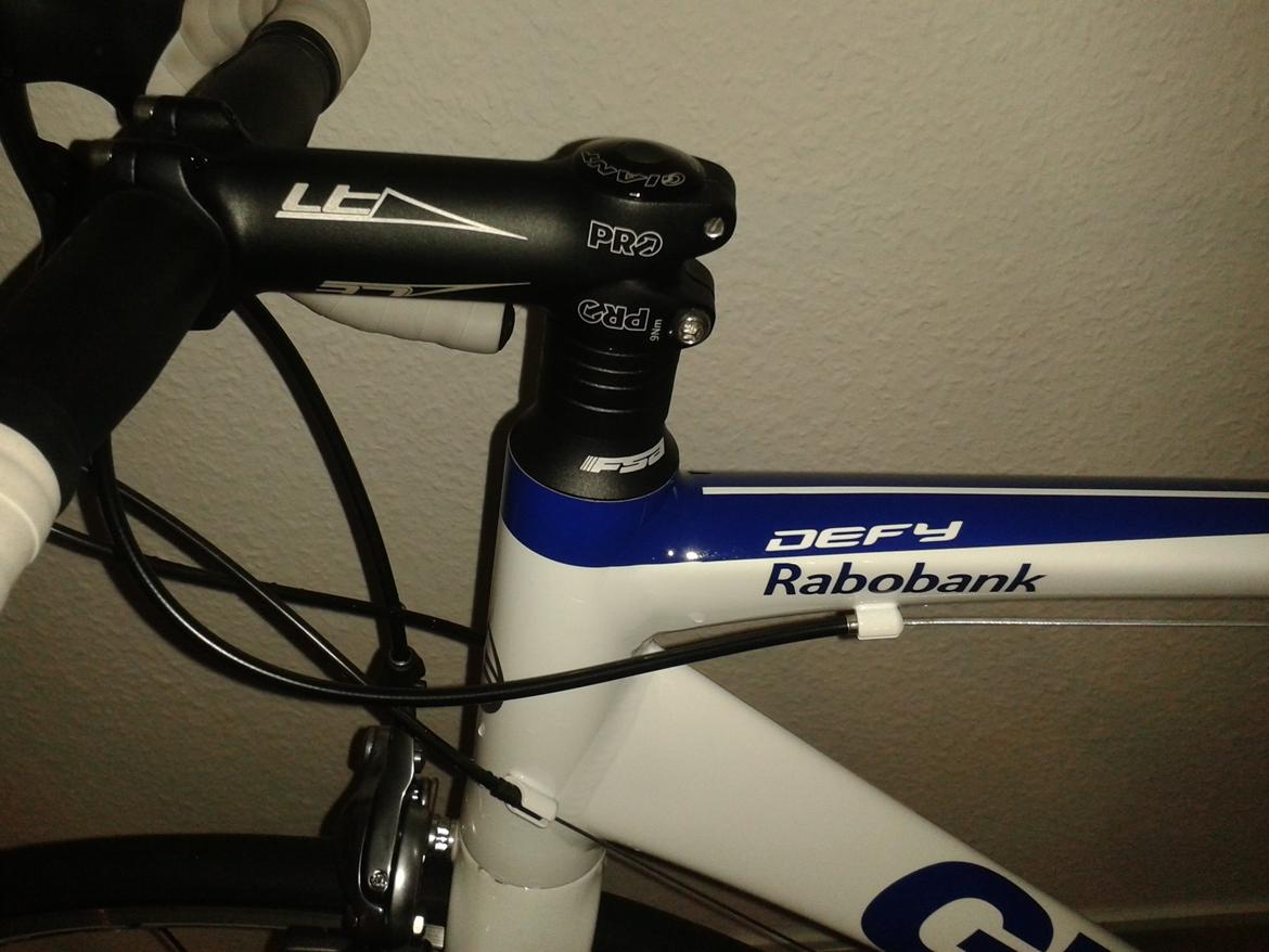 giant defy rabobank