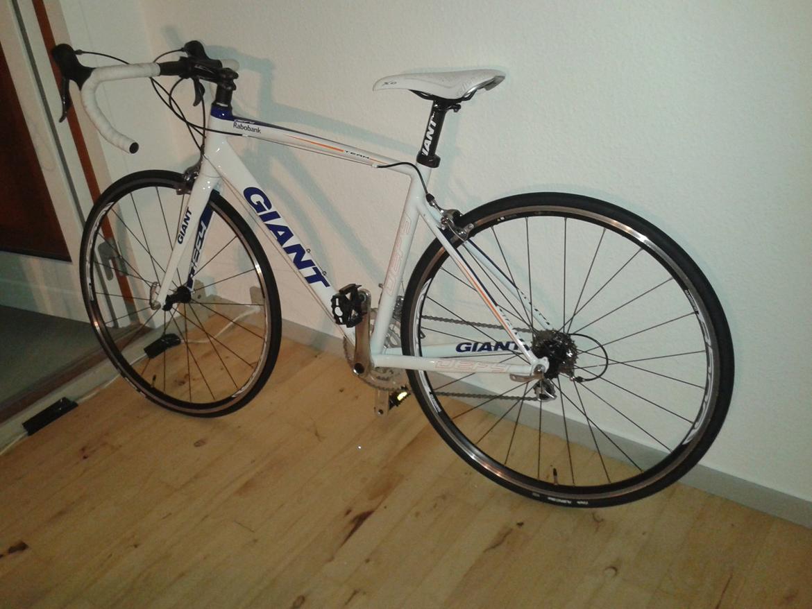 giant defy rabobank