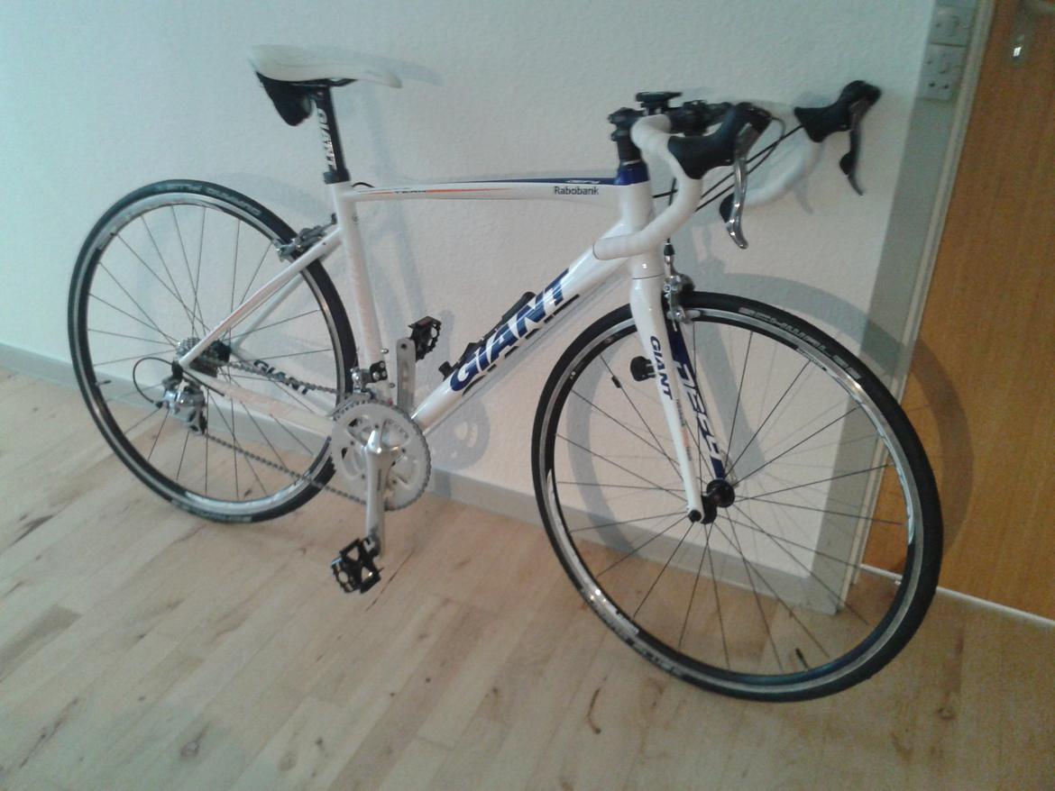 giant defy rabobank