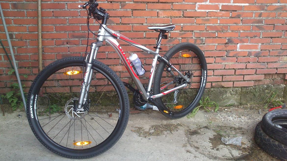 Giant Revel 29er billede 1