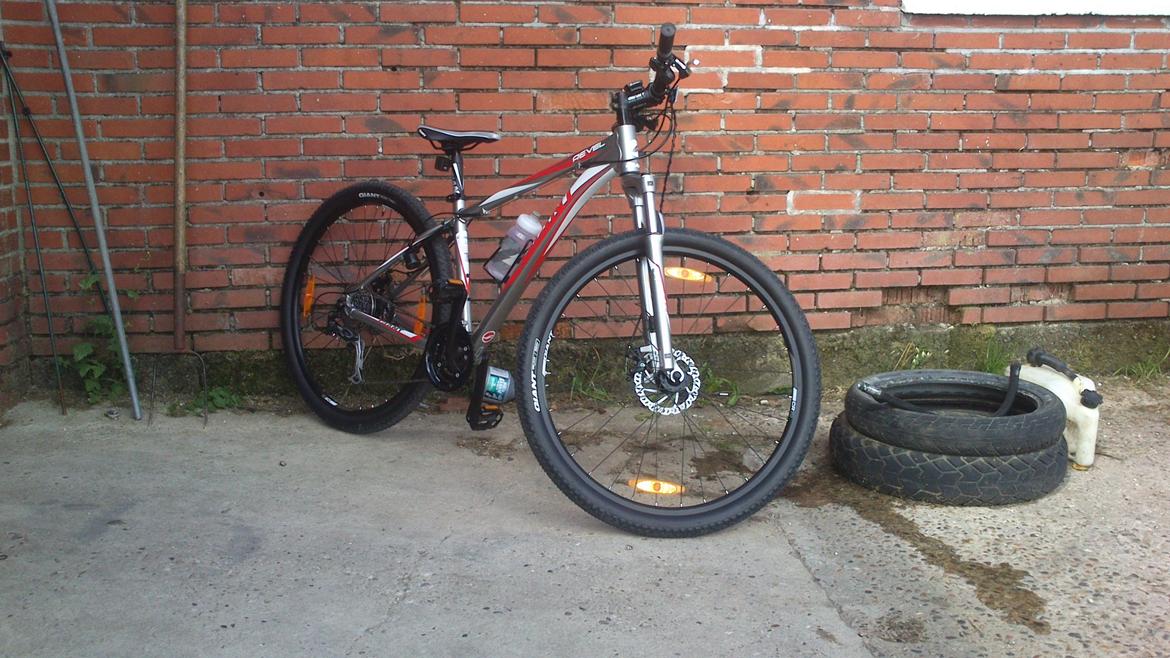 Giant Revel 29er billede 2