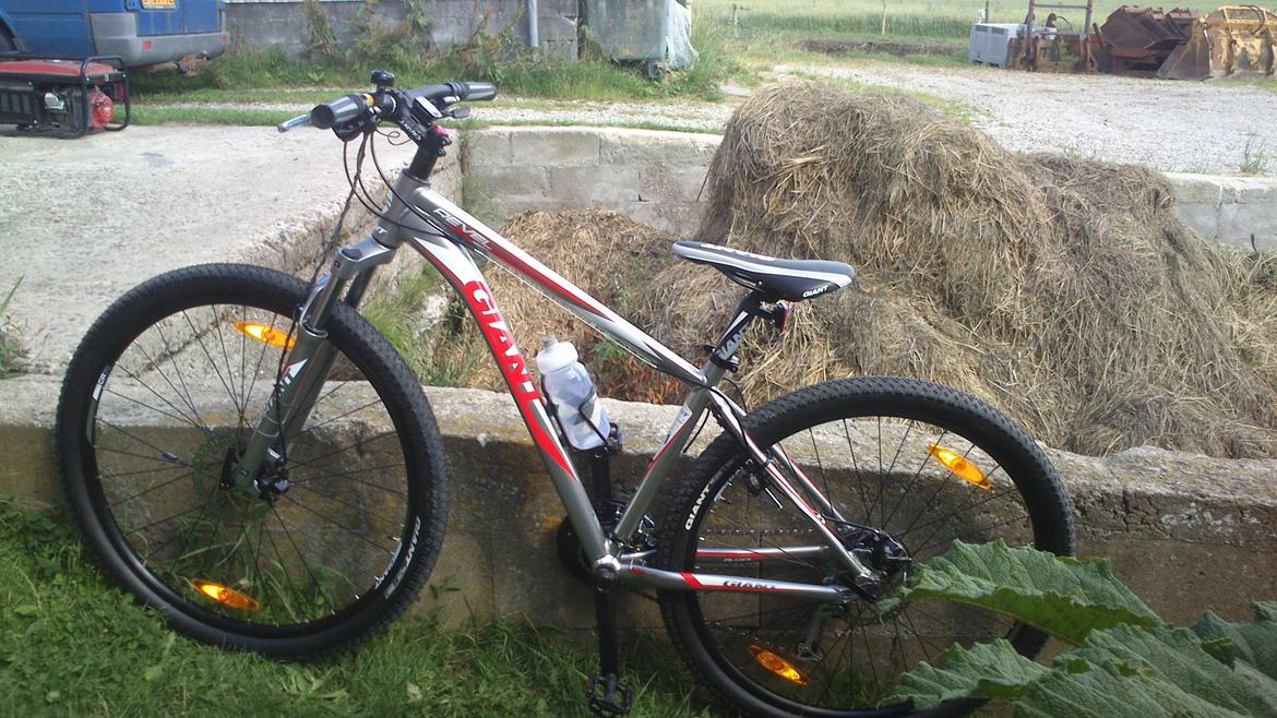 Giant Revel 29er billede 5